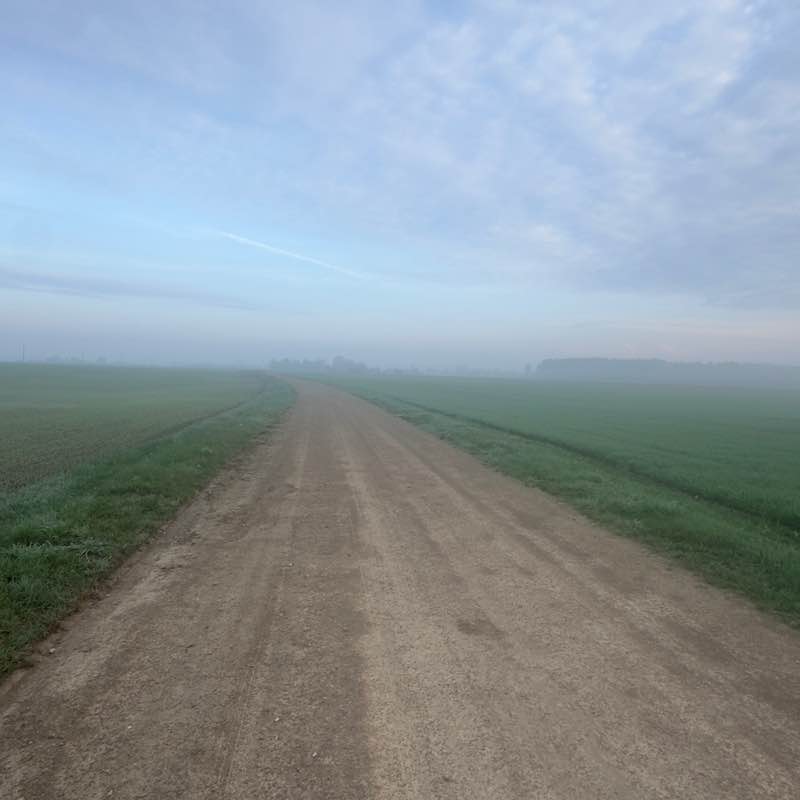 Sofos draugija Milda post image