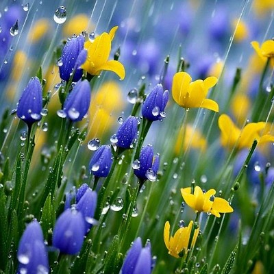 Неленивцы Sentiss Ulyana post image