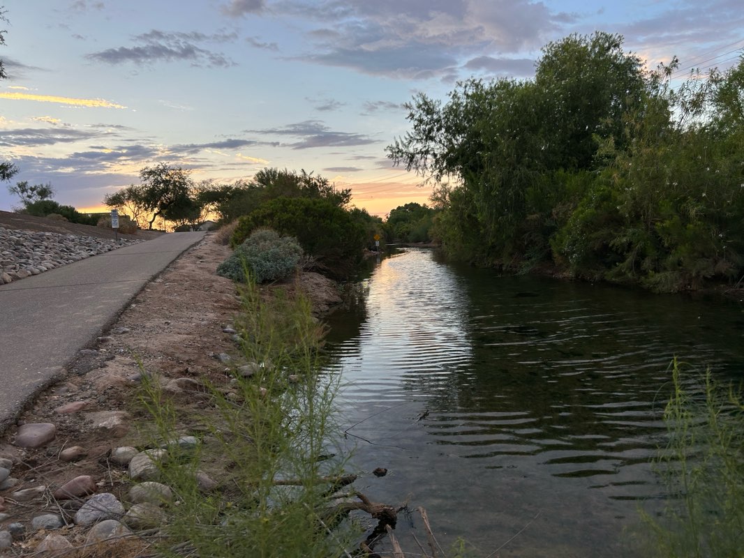walking near me in Roman Estates Park in summer