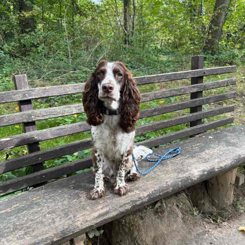 Mandy and Cleo post 2