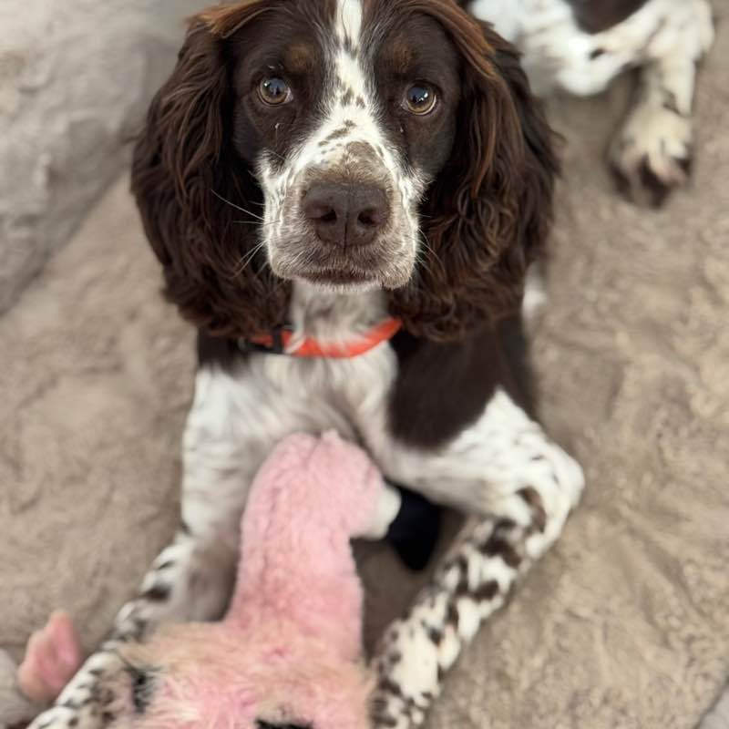 Mandy and Cleo post 2