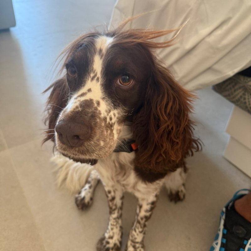 Mandy and Cleo post 2