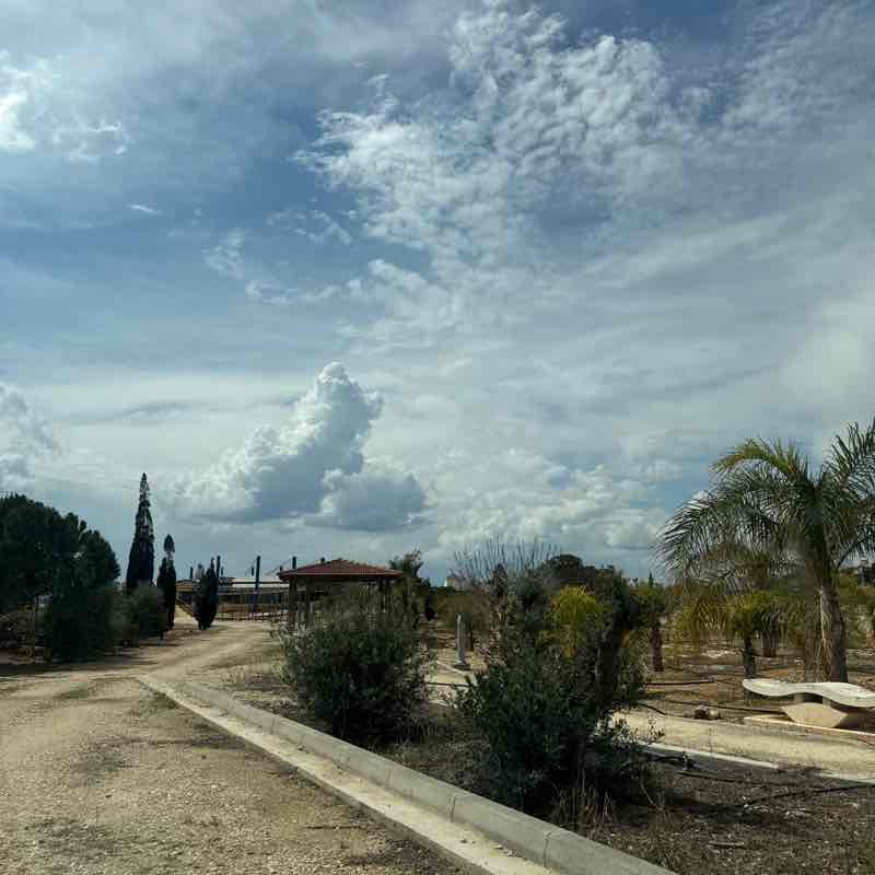 Mandy and Cleo post 1