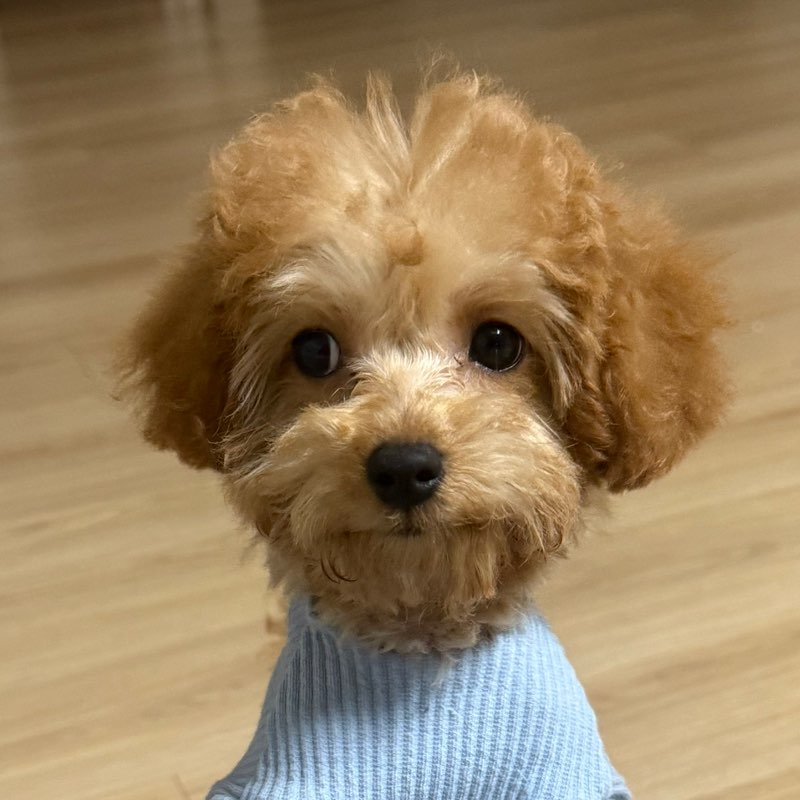 송은지 간호과 profile