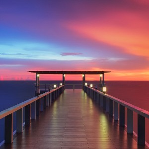 قمرالنعيم profile