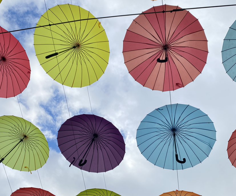 김성희 공공보건의료사업실 icon