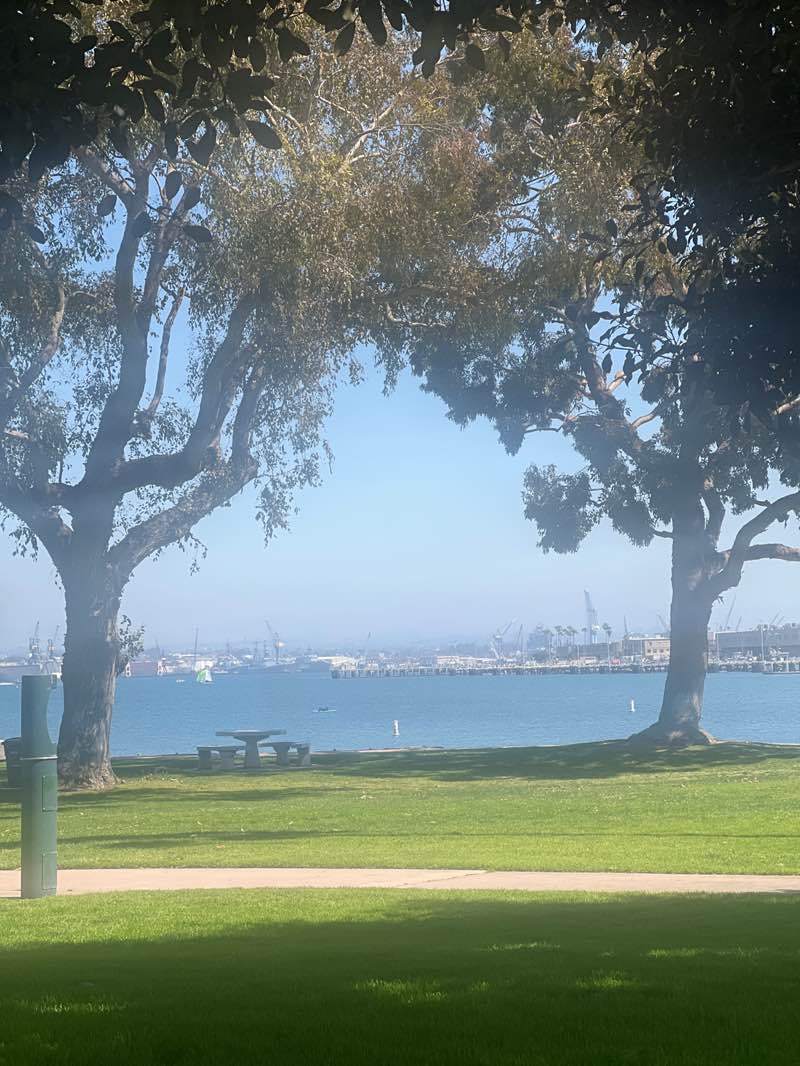 walking near me in Tidelands Park in spring