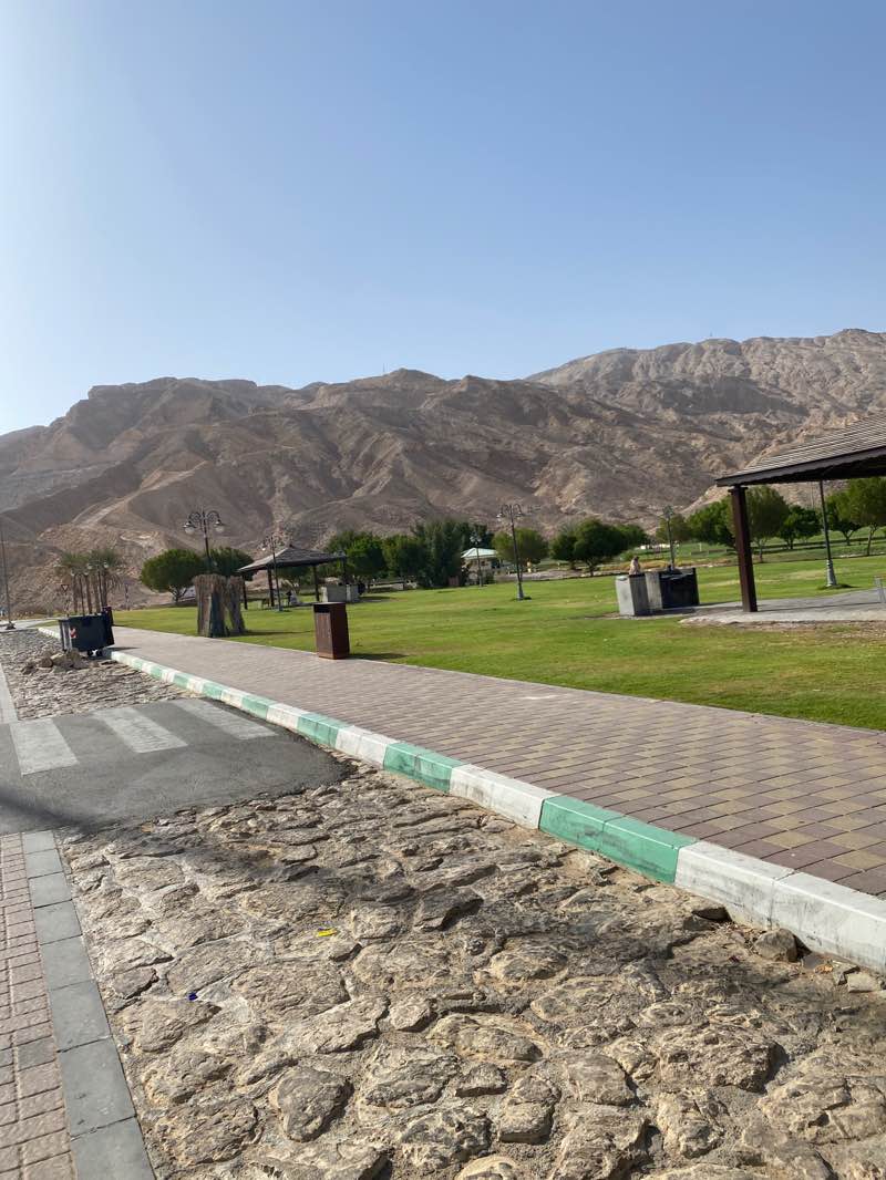 walking near me in playground park in spring