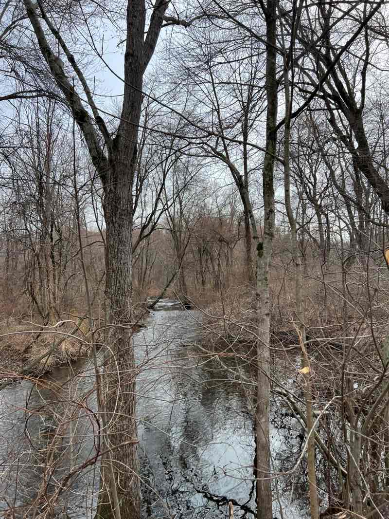 walking near me in Eisenhower Park in spring