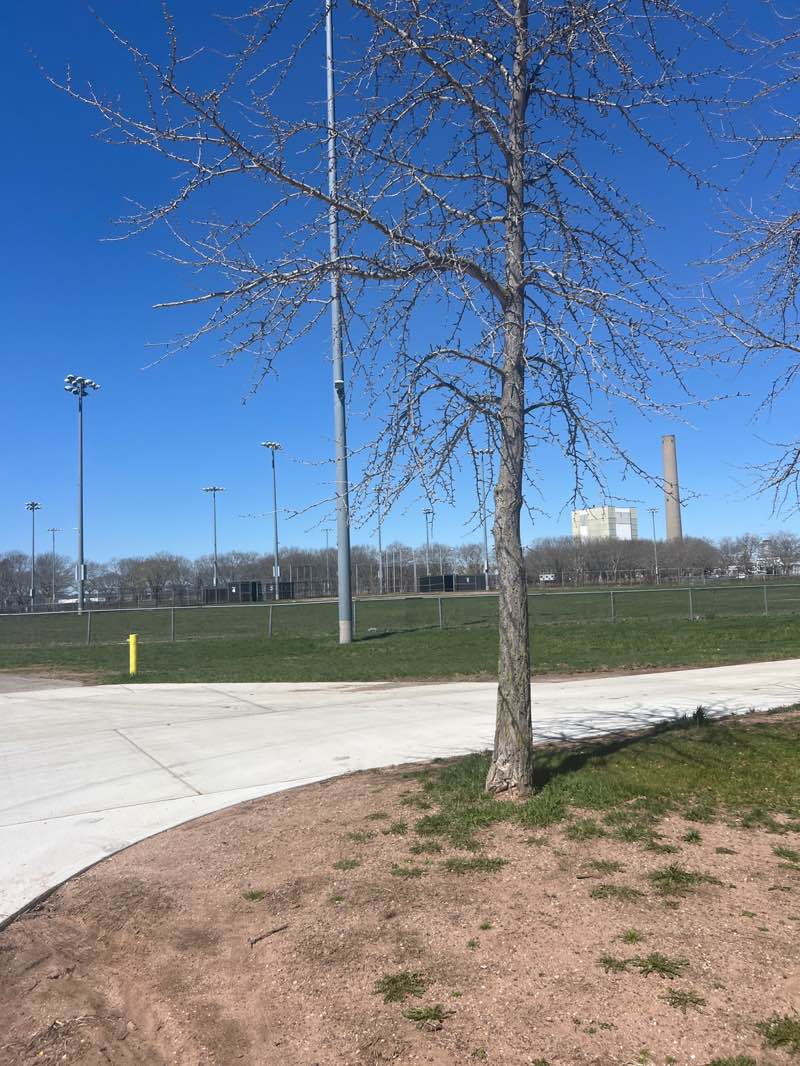 walking near me in East Shore Park in spring