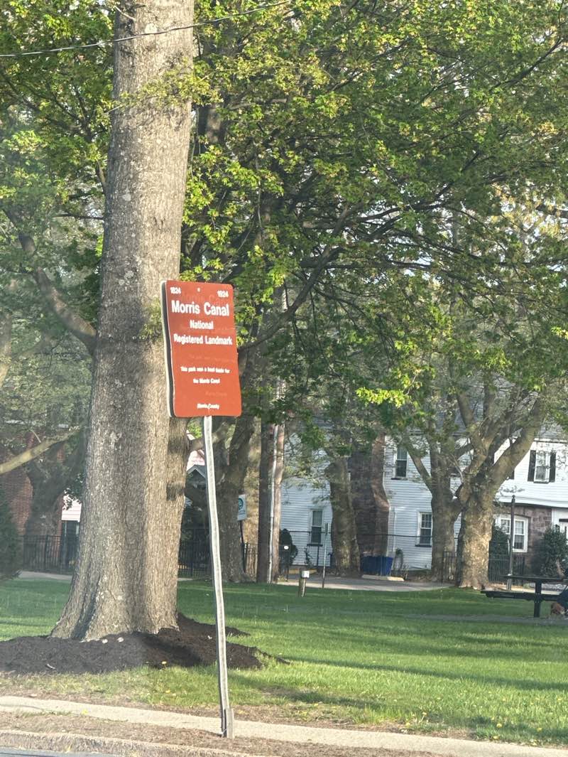 walking near me in JFK Commons in spring