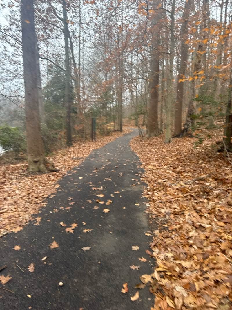 walking near me in Lake Mercer Park in autumn