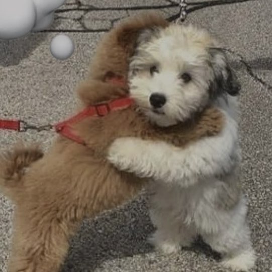 원종숙 완화병동 profile