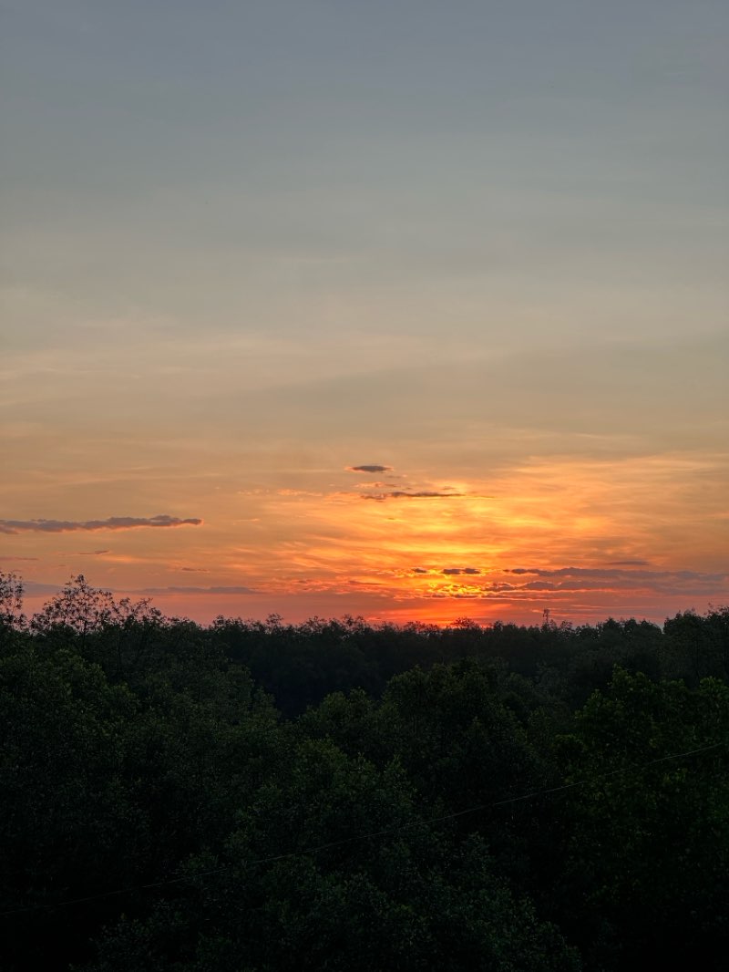 walking near me in Plaza Luz in summer