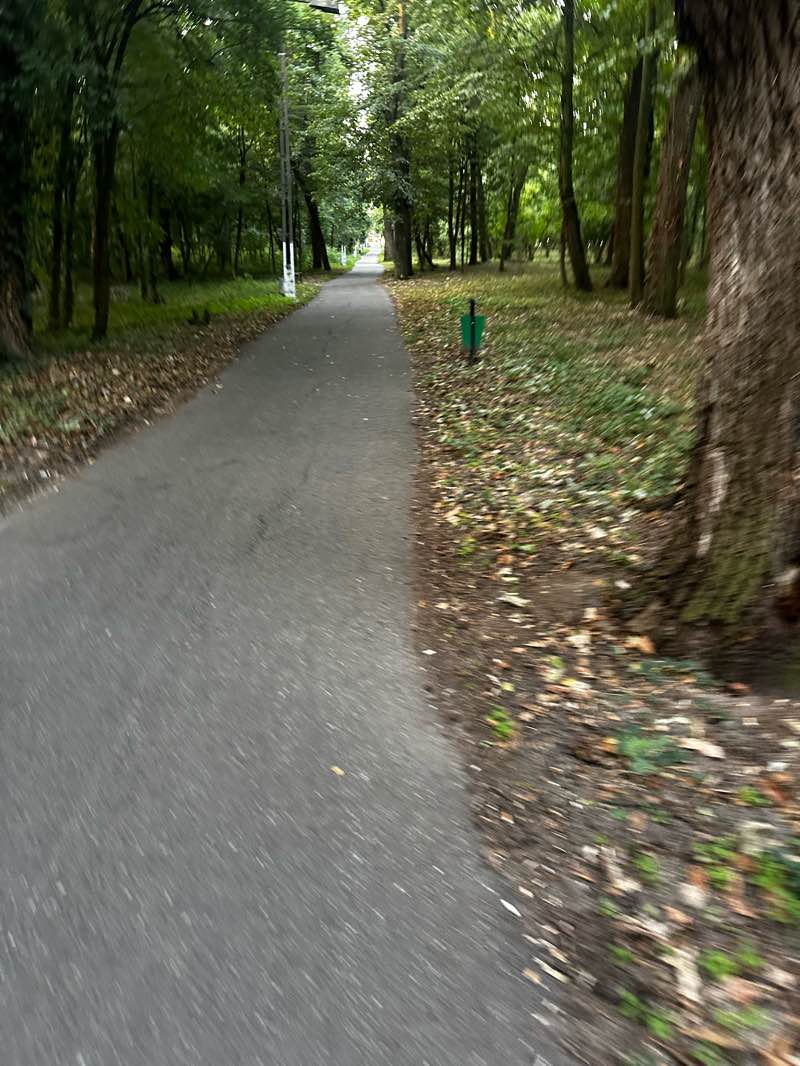 walking near me in Parcul Deta in autumn