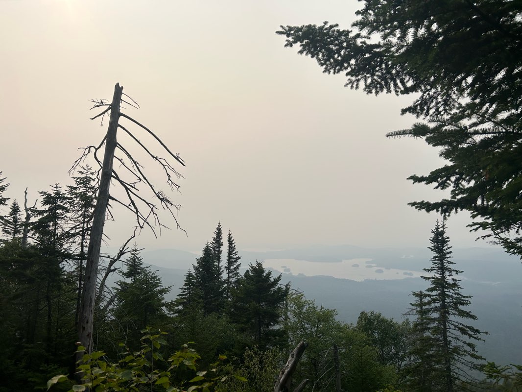 walking near me in High Peaks Wilderness in autumn