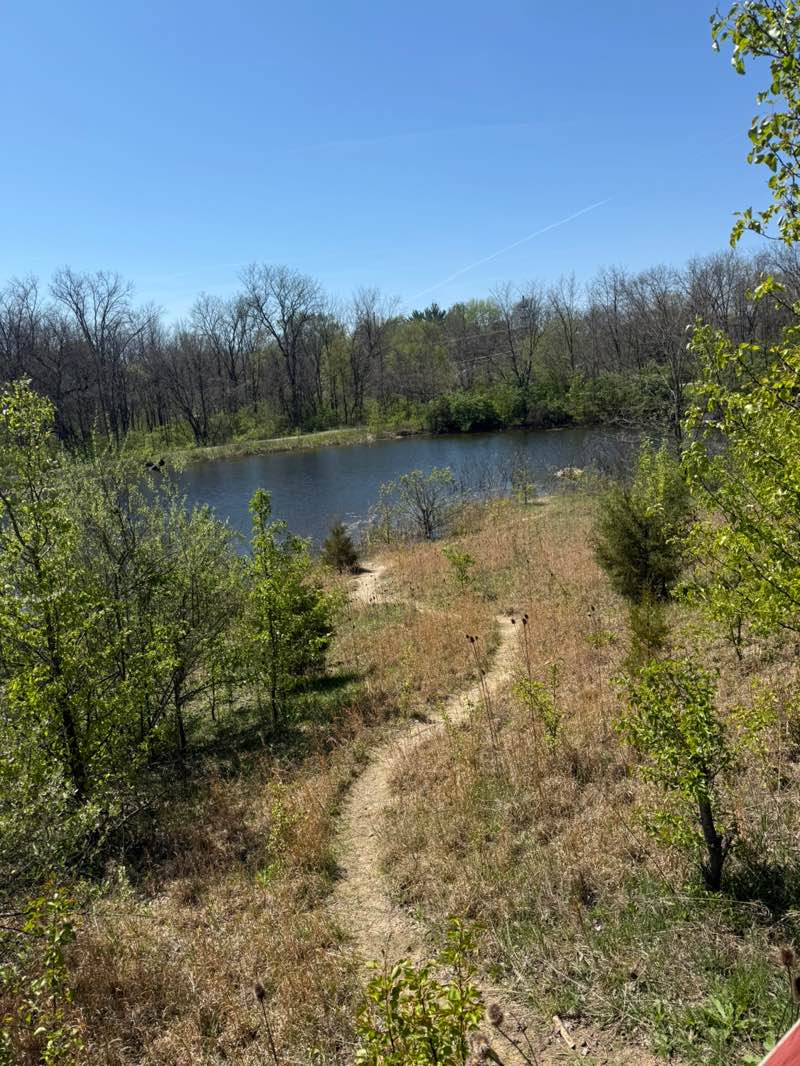 walking near me in Wetlands Park East in spring
