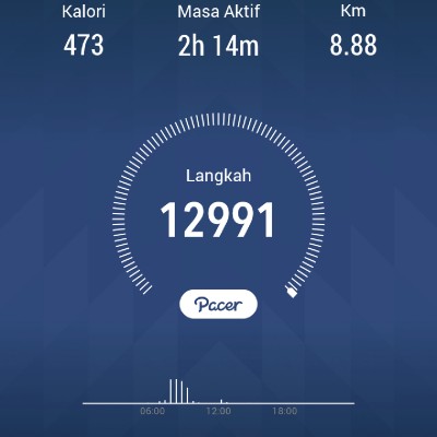 🚶Pacer Semalaysia 🏃 Tok Janggut post image