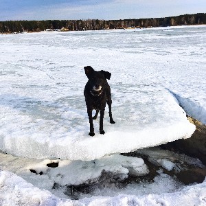 Анастасия Коробейщикова profile