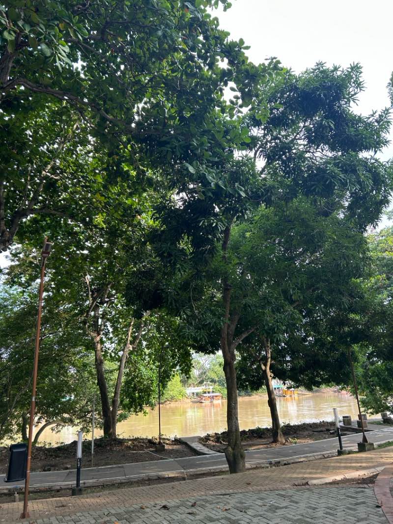 walking near me in Parque Lineal Ronda del Sinú in autumn