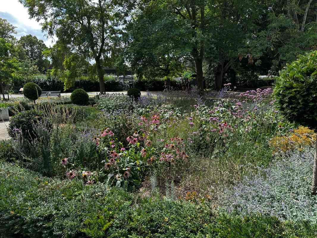 walking near me in Sandford Park in autumn