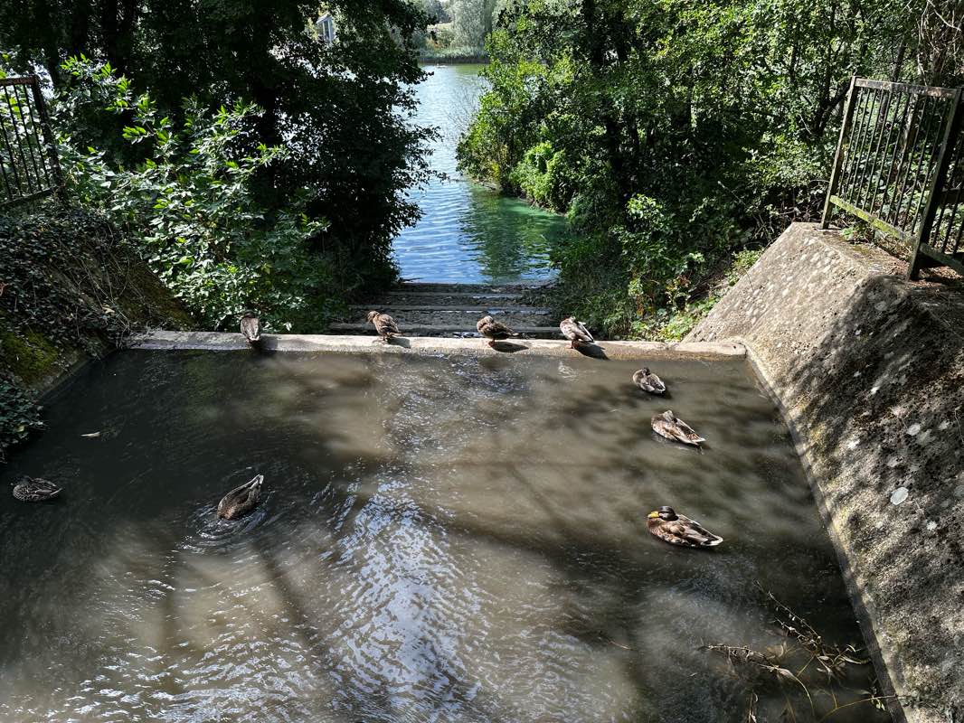 walking near me in Arrow Valley Park in autumn