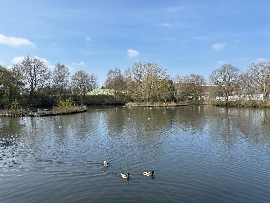 walking near me in Golden Jubilee Gardens in spring