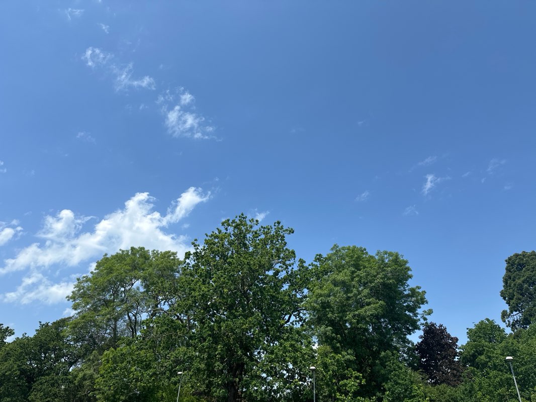 walking near me in Tudor Grange Park in summer