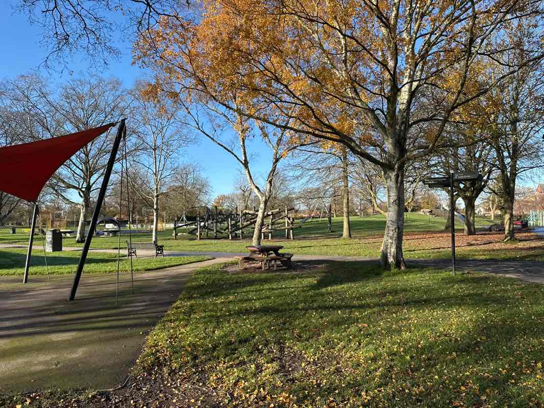 walking near me in Shirley Park in winter