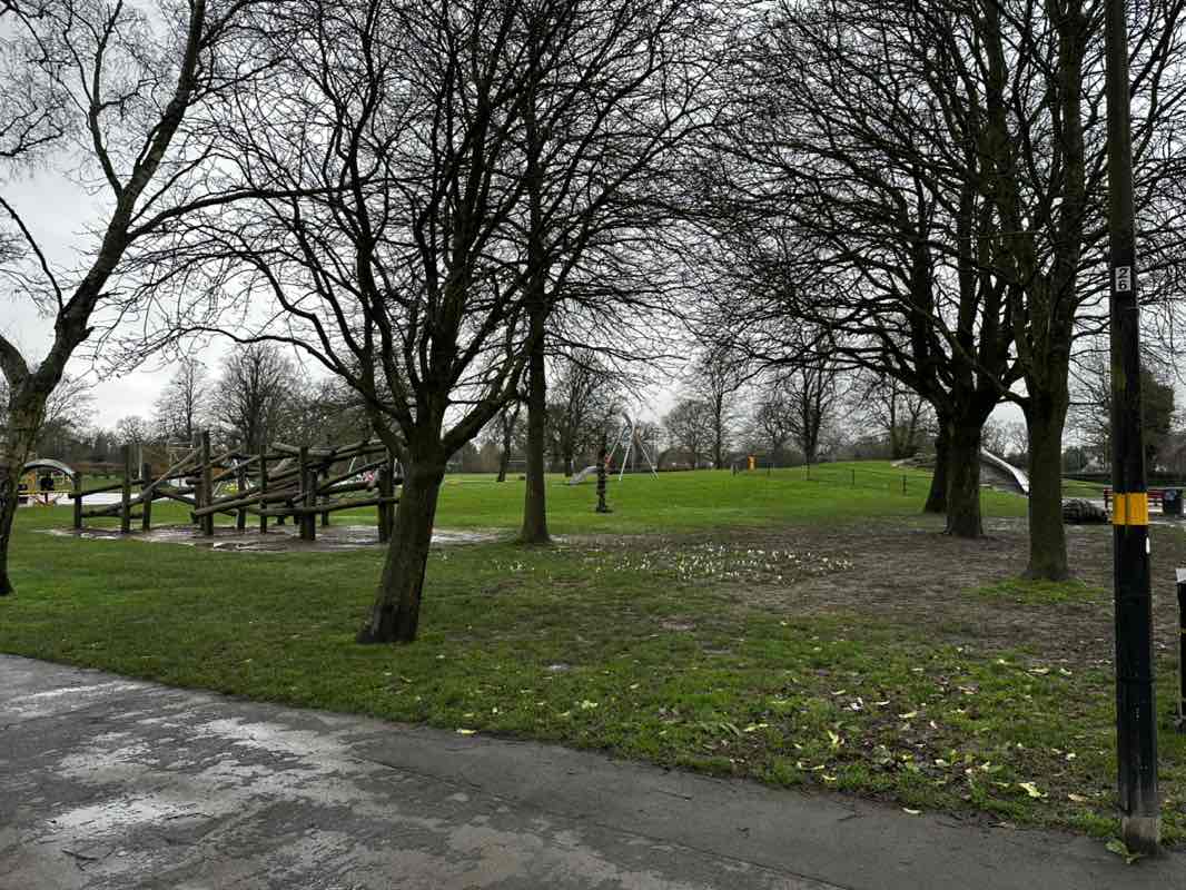 walking near me in Shirley Park in winter