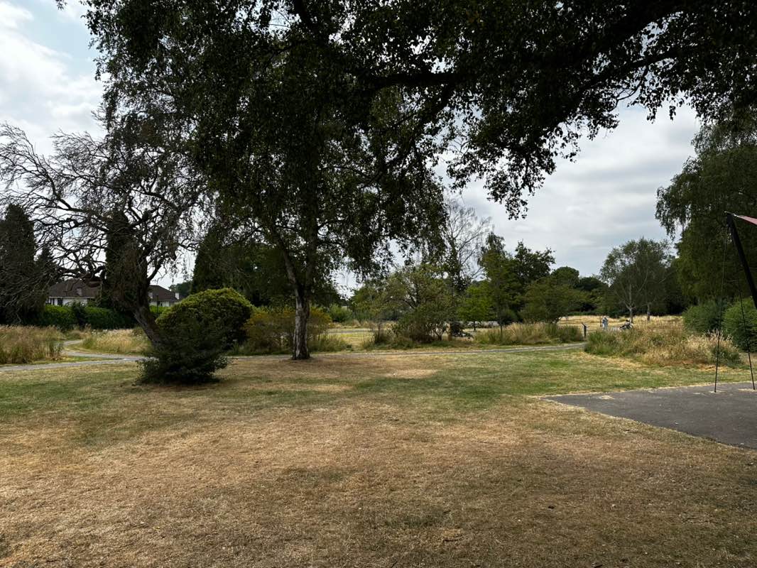 walking near me in Shirley Park in summer