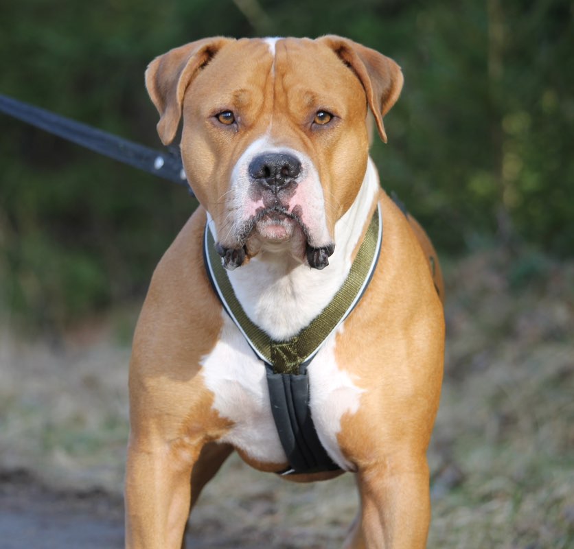 Emilia Andersson profile