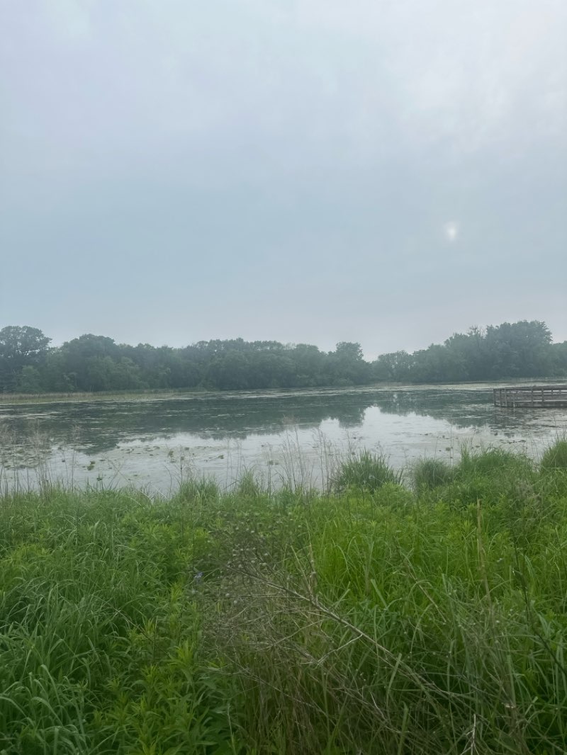 walking near me in Casey Lake Park in summer