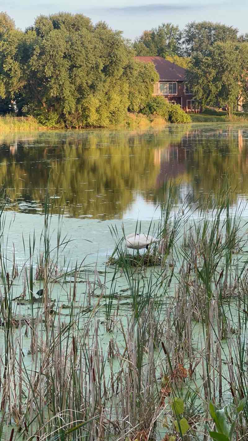walking near me in Conifer Pass Park in autumn