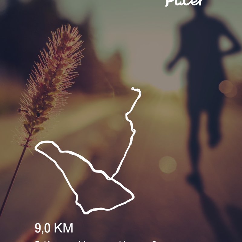 Спорт объединяет( Новосибирск) Максим post image