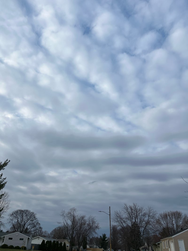 walking near me in Airway Park in spring