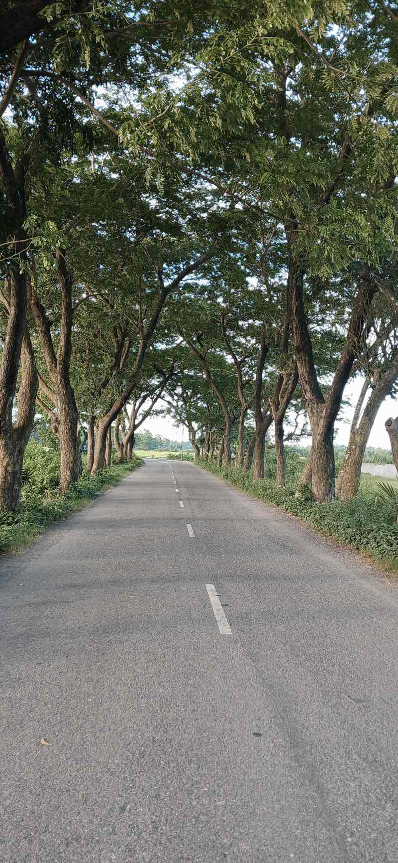 walking near me in Bijoy singh digi pard in autumn