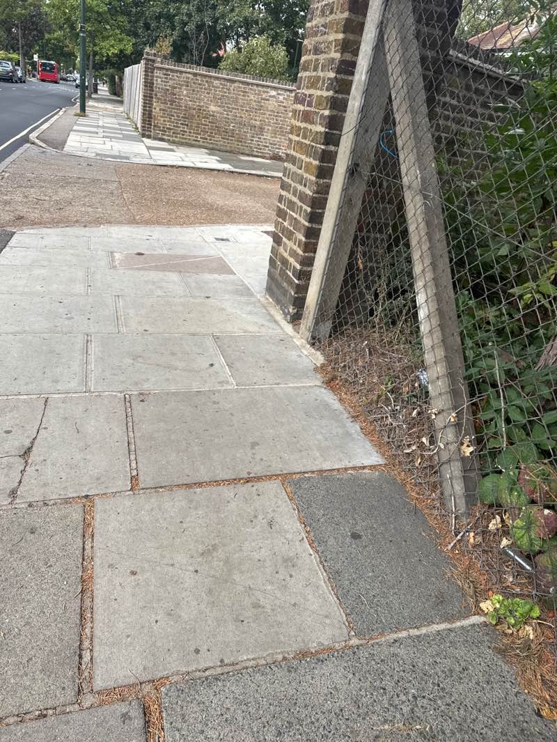 walking near me in Heathfield Recreation Ground in autumn