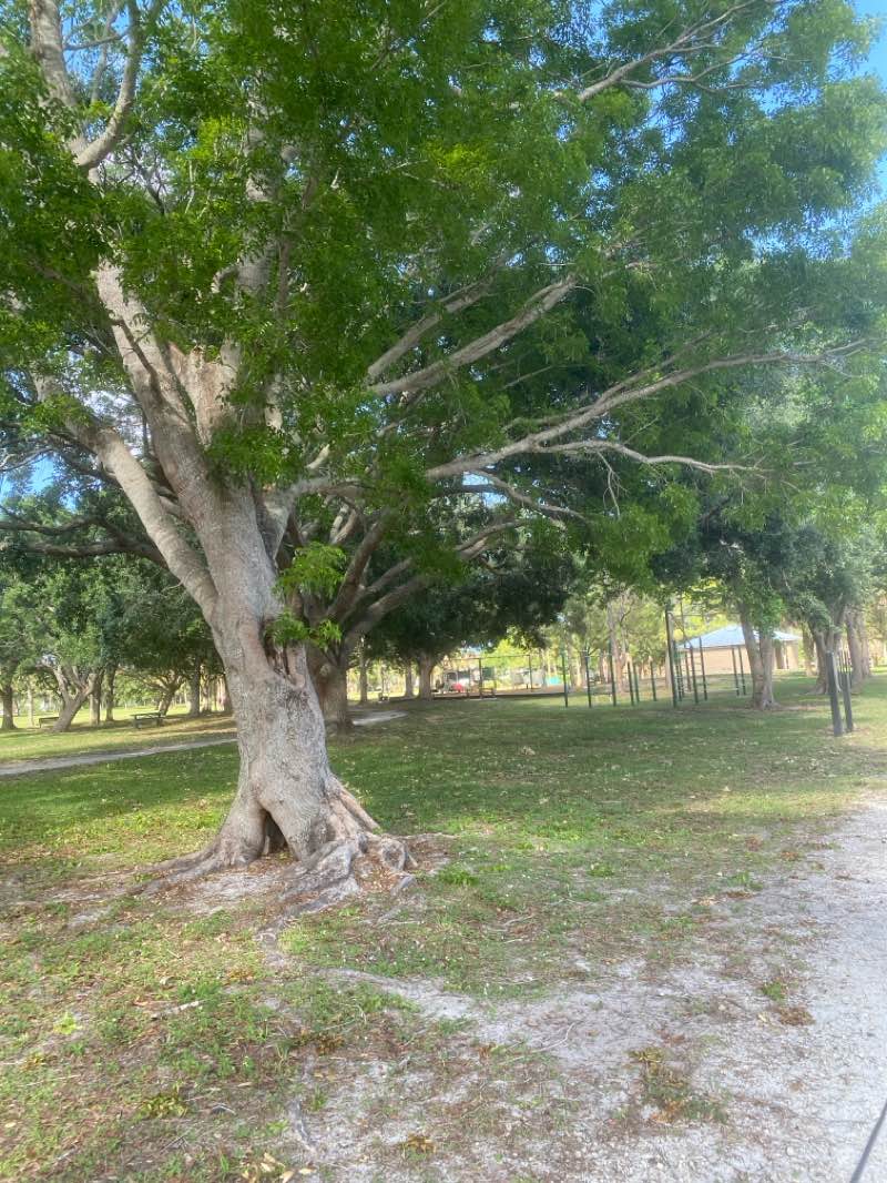 walking near me in L K Hardee Park in spring