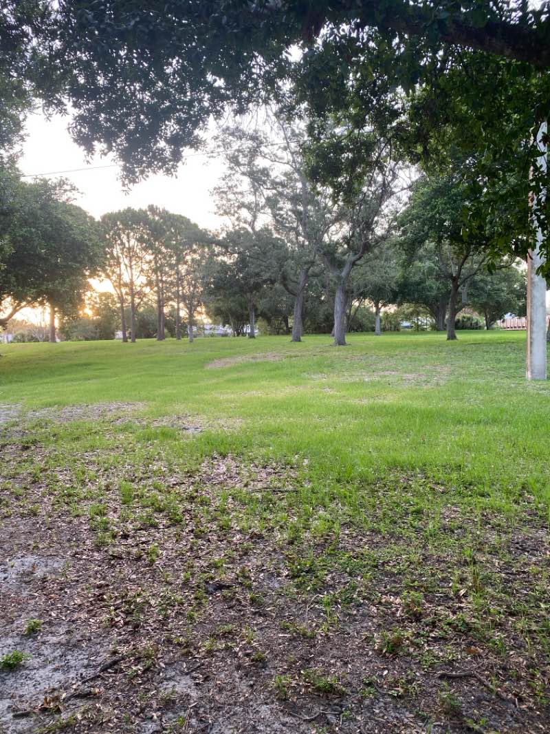 walking near me in L K Hardee Park in summer