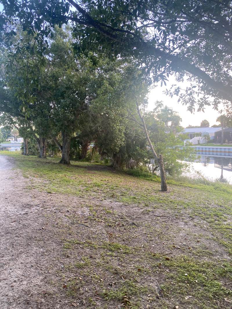 walking near me in L K Hardee Park in summer