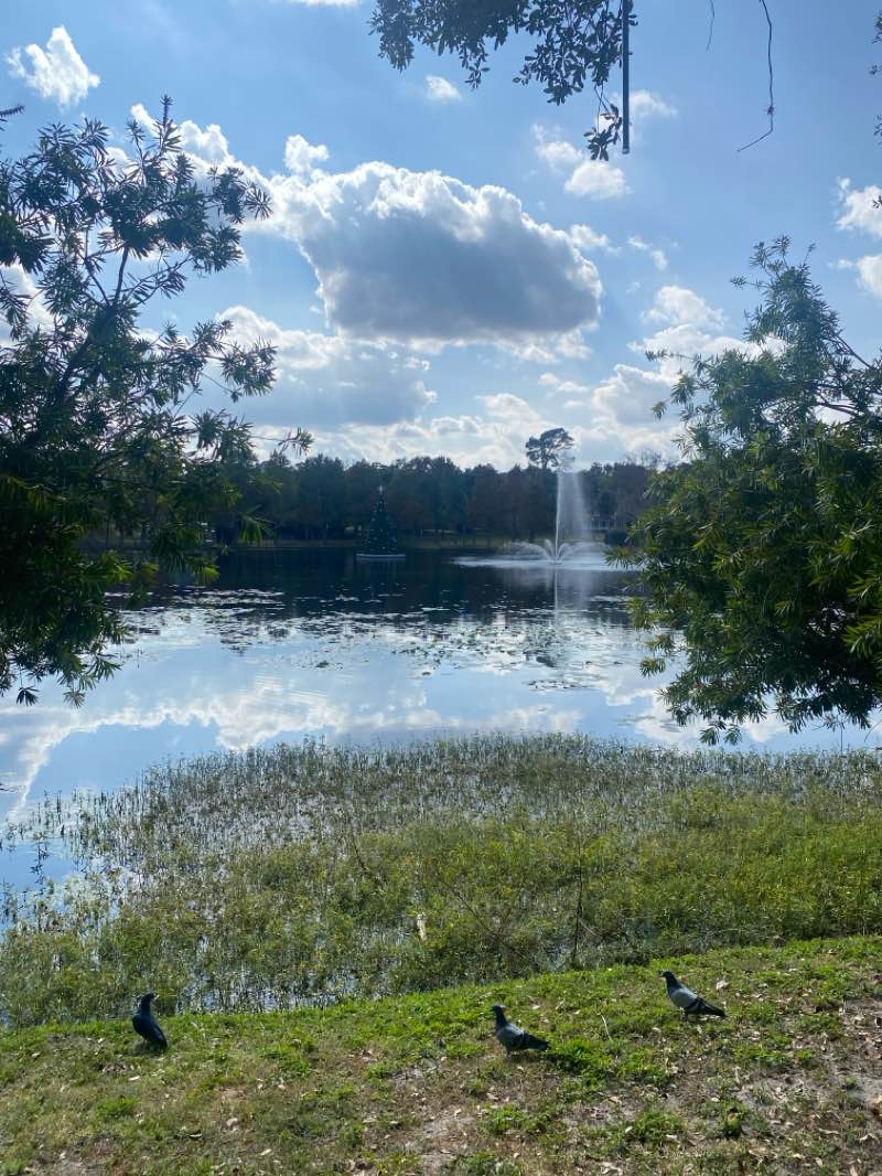 walking near me in Lake Lily Park in autumn