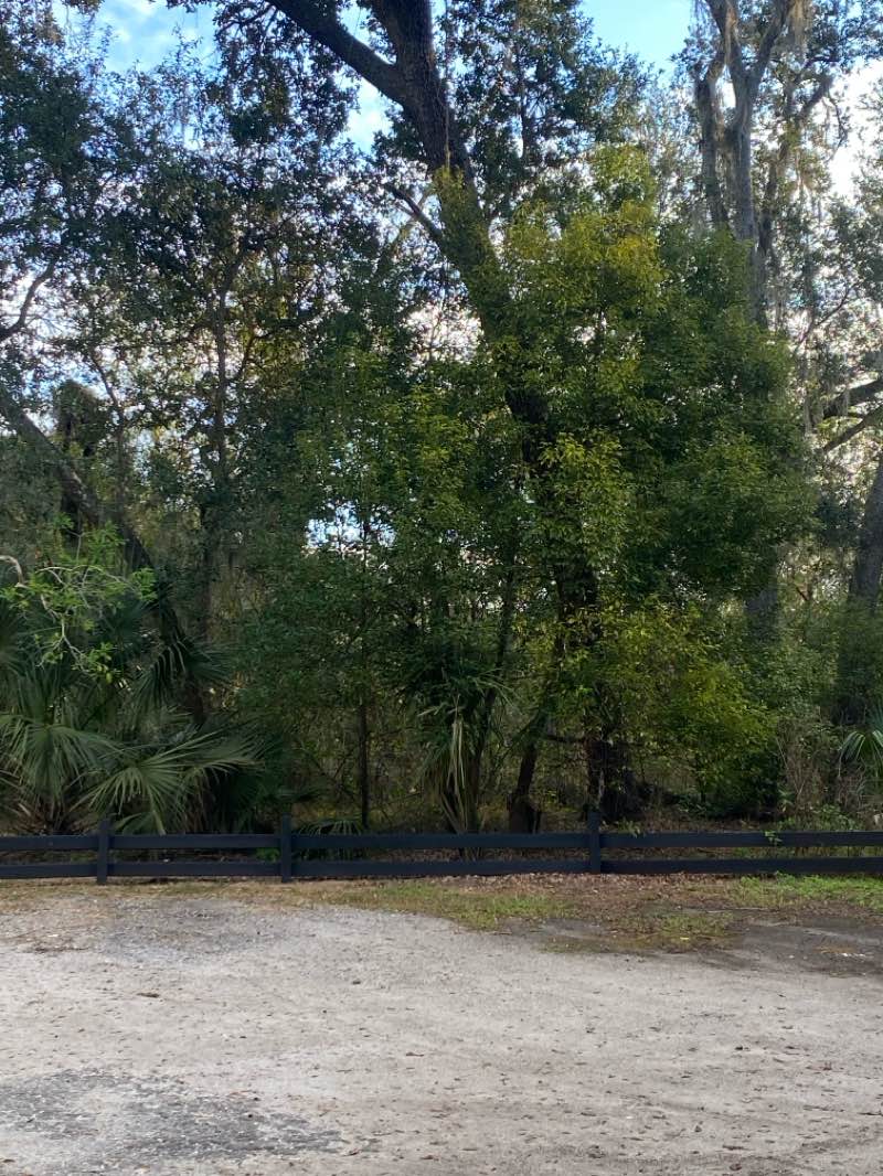 walking near me in Lake Lotus Park in winter
