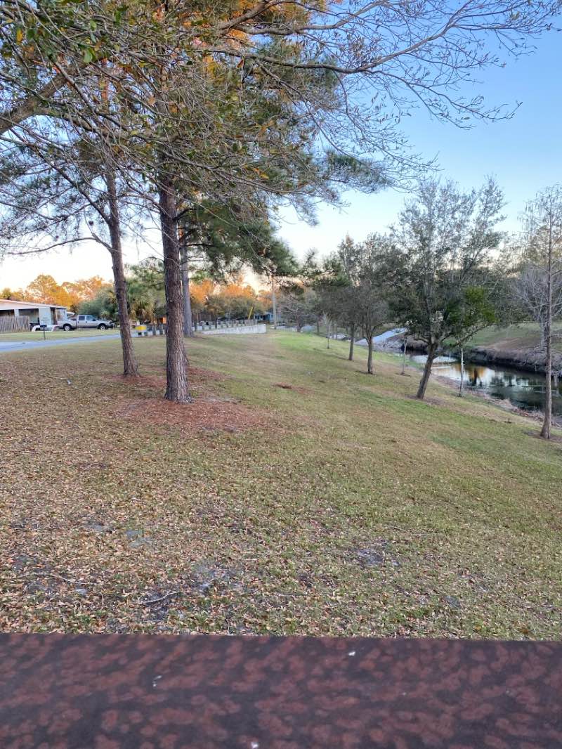 walking near me in Riverside Acres Park in winter