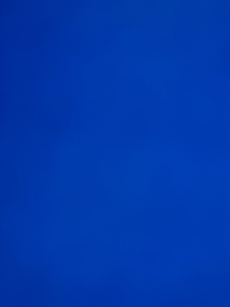 walking near me in Plum Point Park in summer