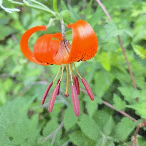 린넨실 김설규 profile