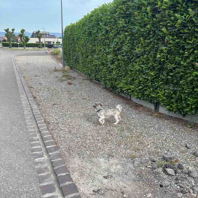 Les cop’s Marie post image