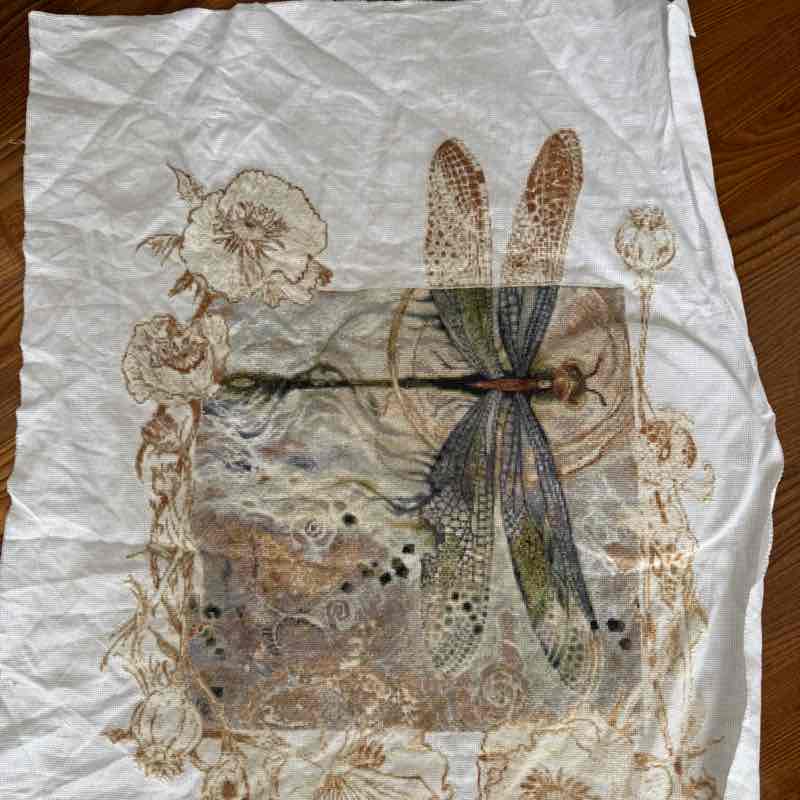 Хомячки вышивают и шагают Aeon post image