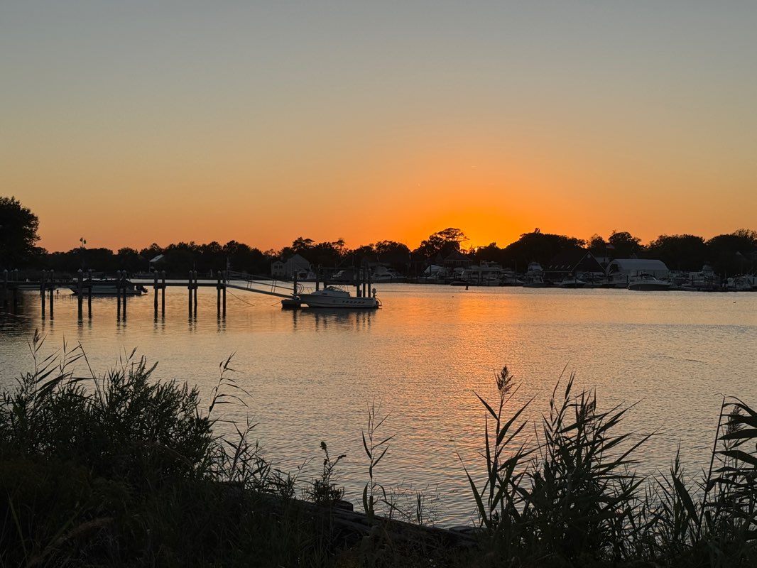 walking near me in Pleasure Bay Park in autumn