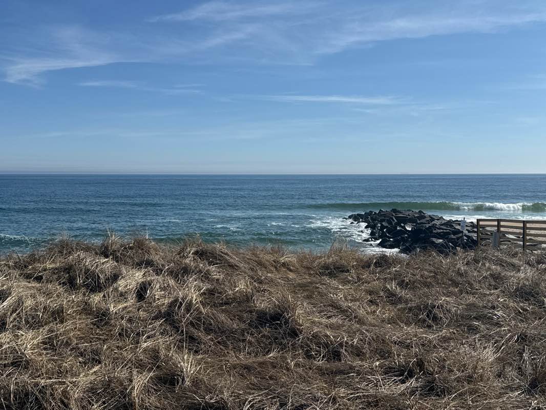 walking near me in Seven Presidents Oceanfront Park in spring